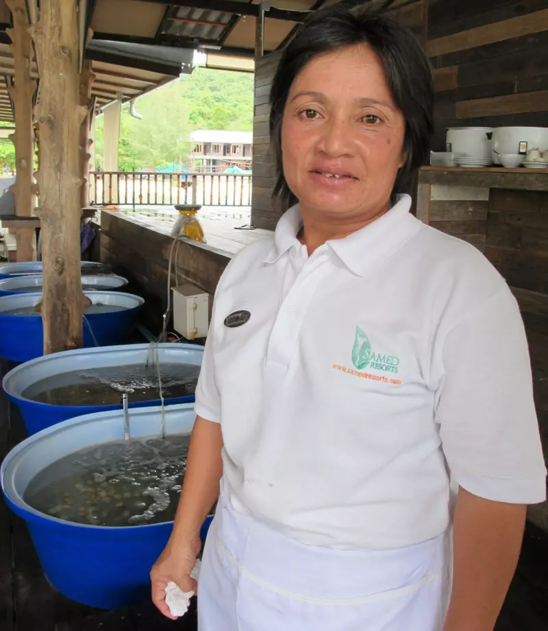 แซบ หวาน กลางทะเลบ้านพลอยเสม็ดน้ำพริกกะปิรสเด็ด แกงเผ็ดไก่ระยอง