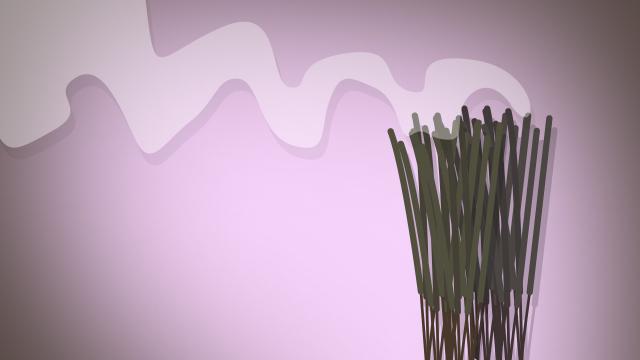 . จุดธูป 36 ดอก ปลดล็อกชีวิต ขอขมาเจ้ากรรมนายเวรกลางแจ้ง.