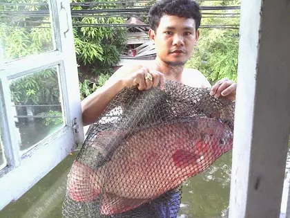 ‘จักรยานลอยน้ำ’ พาหนะอมยิ้ม ไอเดียประดิษฐ์ ถีบพิชิตน้ำท่วม