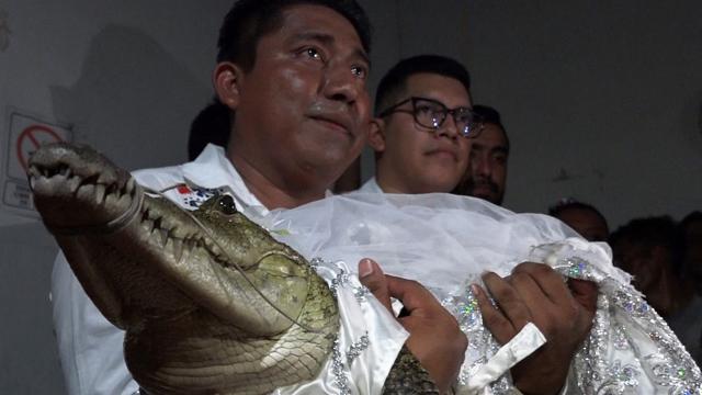 นายกเทศมนตรีเม็กซิโก แต่งงานกับจระเข้ พิธีโบราณนำโชคให้ชาวเมือง (คลิป)