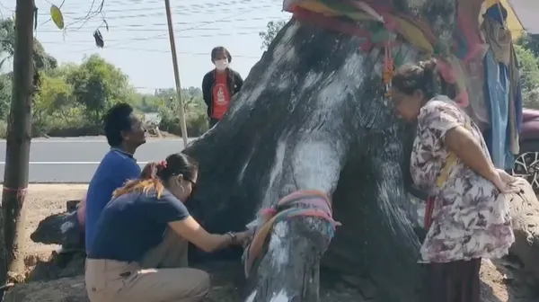 แห่ขอ "เลขเด็ด" เจ้าแม่ตะเคียนทอง เชื่อเคยให้โชคถูกหวยเกือบทั้งหมู่บ้าน (คลิป)
