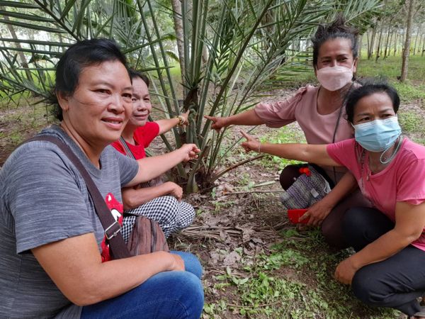 ขอโชคจากต้นอินทผลัมปู่ศรีสุทโธ