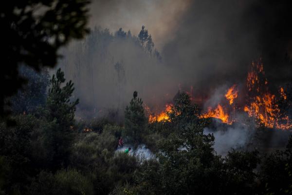 ไฟไหม้ป่าในโปรตุเกส ท่ามกลางสถานการณ์คลื่นความร้อนแผ่ปกคลุม และภัยแล้งกำลังเล่นงานยุโรป