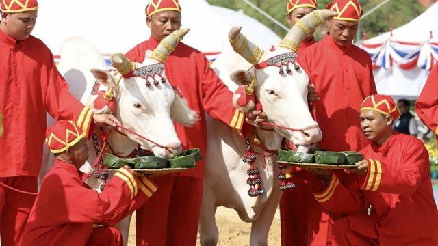 “พระพลเทพ” เทพเจ้าแห่งการเกษตร ในพระราชพิธีจรดพระนังคัลฯ