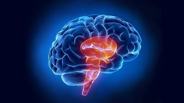 ผลิตภัณฑ์ เบต้า-กลูแคน ข้อมูลวิทยาศาสตร์ที่ควรทราบ (ตอนที่ 2)