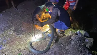 รวมเรื่องหวย