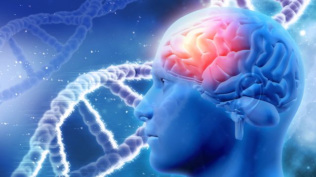 โลหะหนักสารเคมี ฝุ่นพิษทำร้ายตั้งแต่เด็กในท้องจนถึงผู้ใหญ่ (ตอน 2)