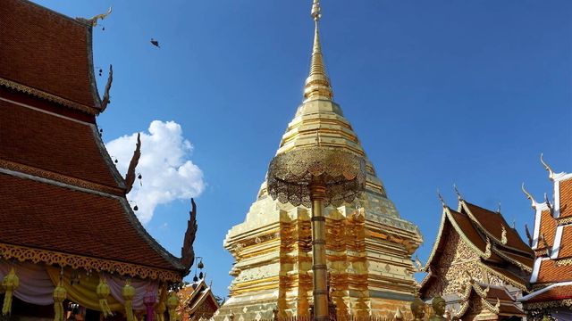 ฝันเห็นภัยพิบัติ-โชคลาภ ลายแทง "นิมิตพยากรณ์"