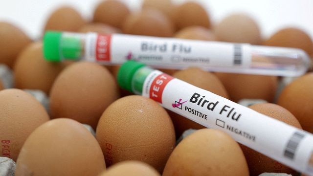 หลักฐานโต้แย้ง แท้จริงมนุษย์ก็มีภูมิป้องกันไข้หวัดนก