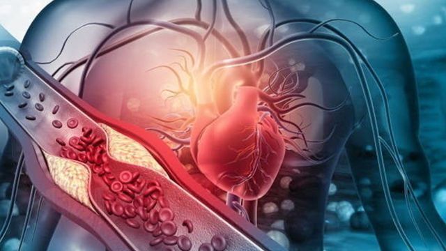 การฟื้นคืนชีพ การกลับชาติมาเกิด มุมมองทางวิทยาศาสตร์ (ตอน 1)