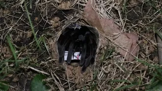 รวมเรื่องหวย