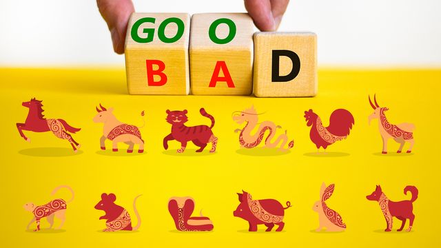 12 นักษัตรต้องเจอ สรุปดวงดี-ร้ายธันวาคม 2568 กับซินแสโจ้