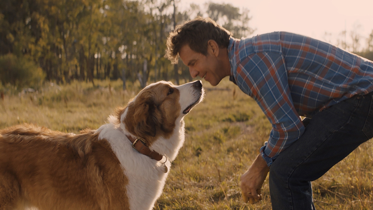 มาดูกับมาดาม: A Dog’s Journey น่ารักและอบอุ่นมาก