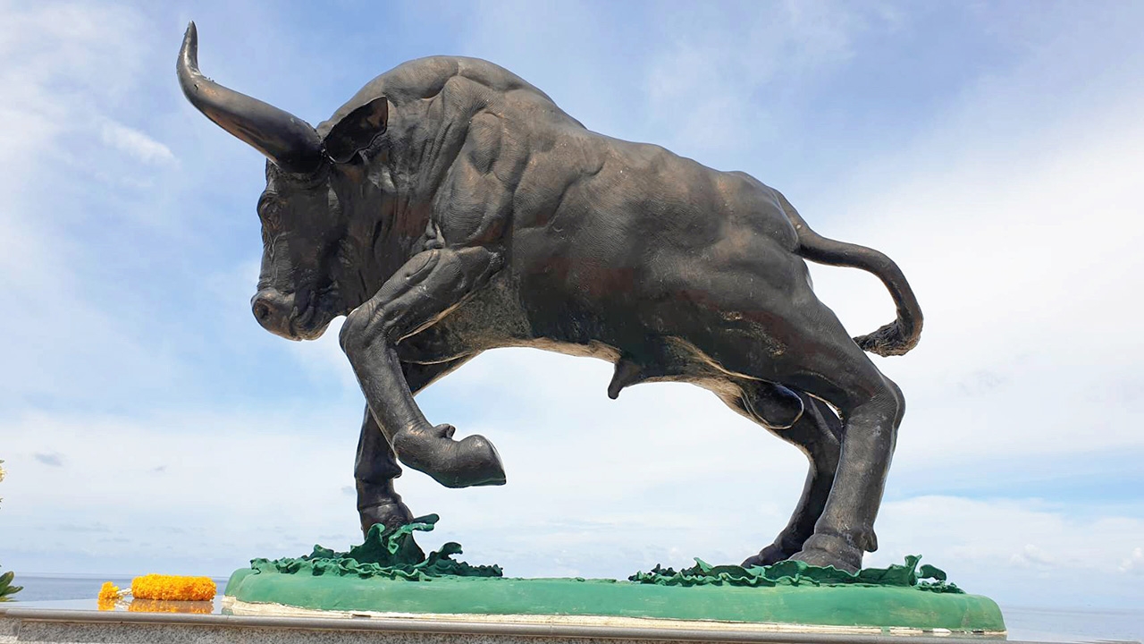 "วัวกระทิงโทน" มาแรง พาเที่ยวทะเลหาดทุ่งวัวแล่น จ.ชุมพร