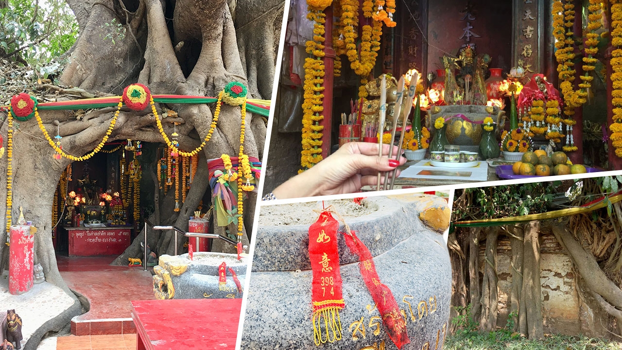 เลขเด็ดศาลเจ้าตึกโพรงไม้ หญิงใบ้ออนทัวร์ ตะลุยรวยรับตรุษจีน