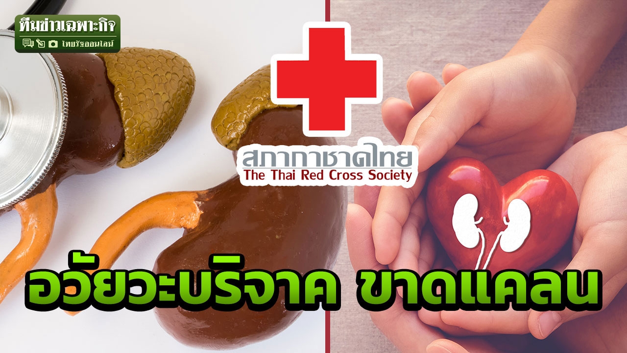 ชาติหน้ากลัวอวัยวะไม่ครบ? ไขปมเหตุคนไทยไม่บริจาคอวัยวะ กาชาด เผย ต้องการไตมากสุด