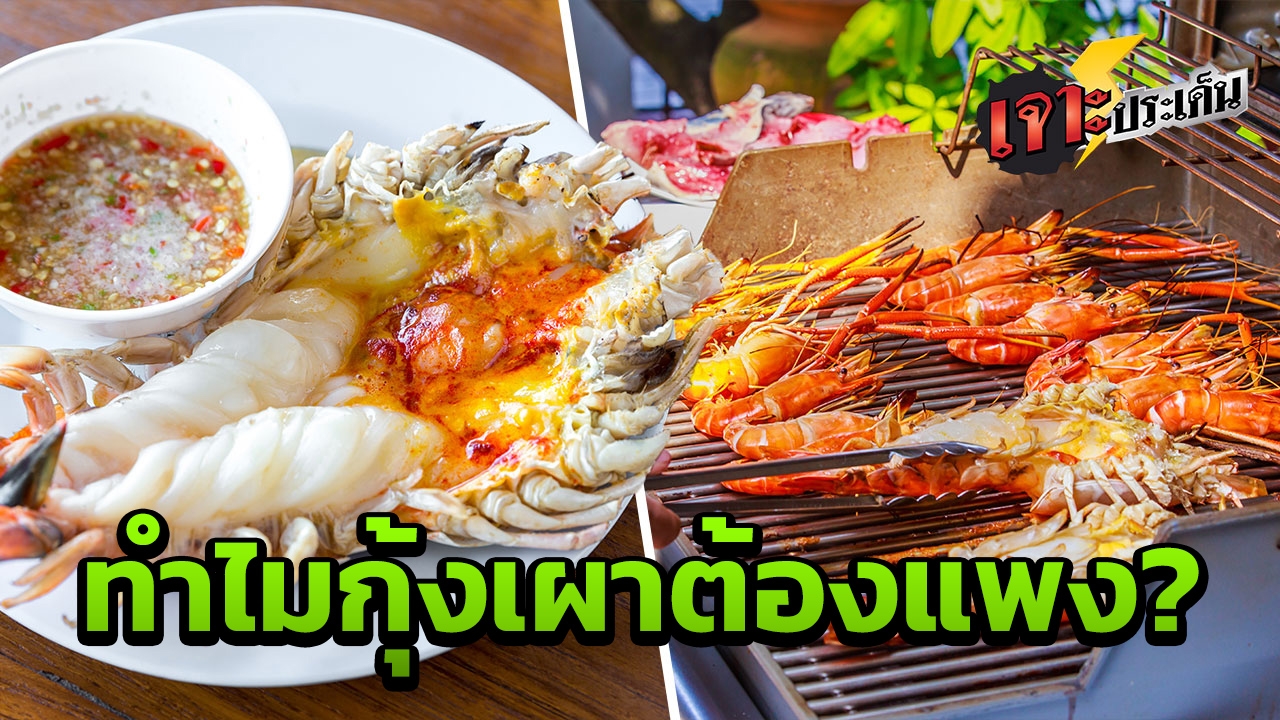 กุ้งแม่น้ำวางไข่ 1 ครั้งล้านใบ หาได้ในธรรมชาติ แต่ทำไมเอามาเผา ราคาต้องแพง?