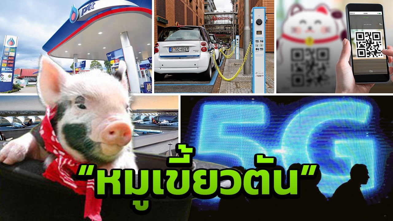 เรื่องหมูๆ...ที่ไม่หมู ในปีหมู