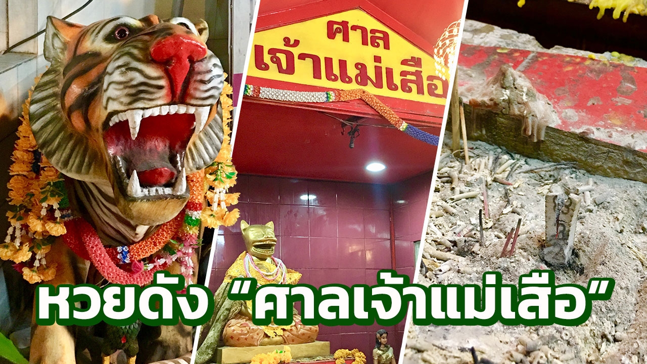 เลขเด็ดหวยดัง "ศาลเจ้าแม่เสือ" ดุ ใจดี ให้โชคลาภรับสงกรานต์ (คลิป)