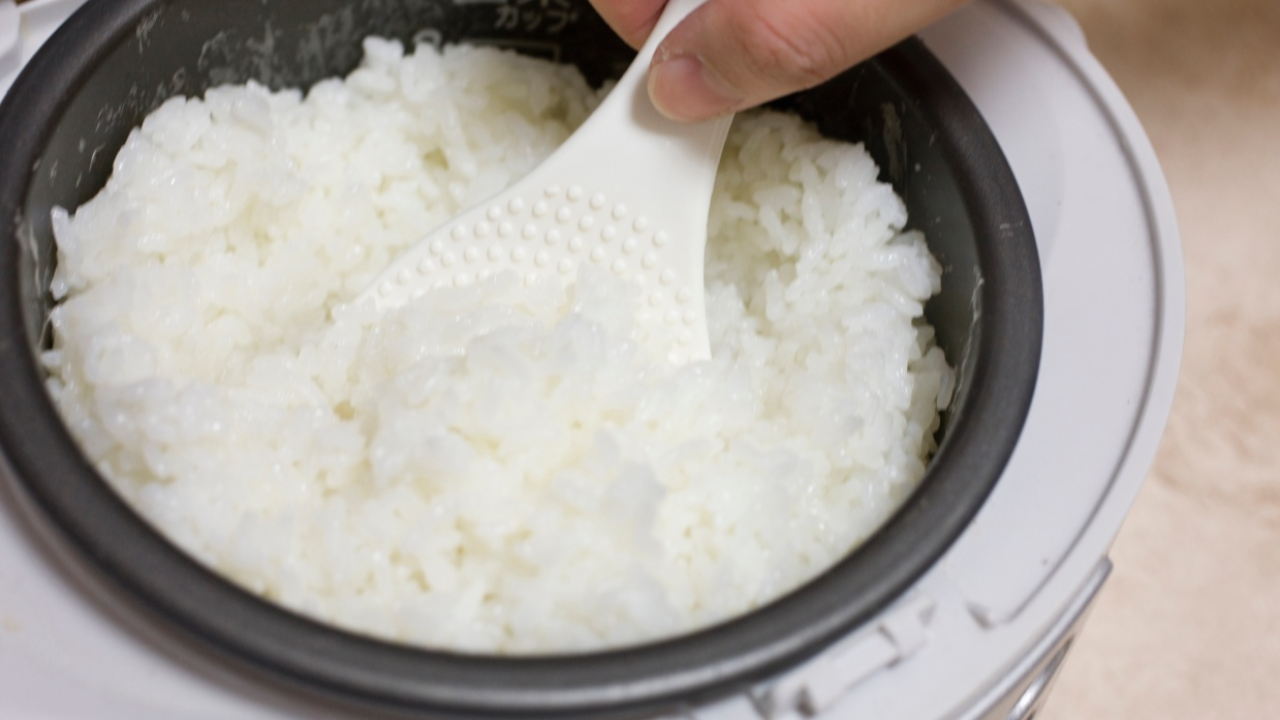 รวม 8 หม้อหุงข้าวไฟฟ้าขนาดเล็ก เด็กหออยู่คนเดียว