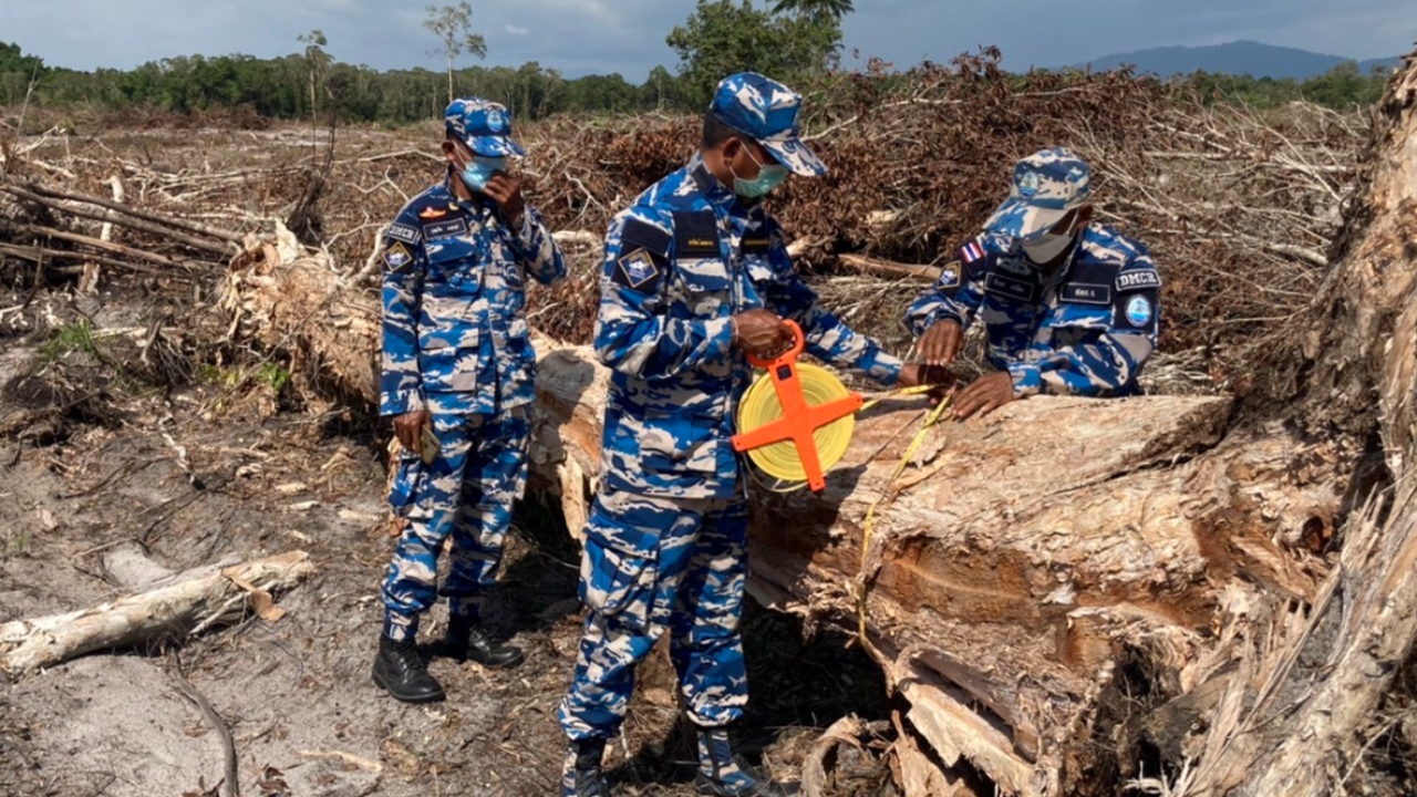 “กรมทะเล” จับ ”กรมชลฯ” รุกป่าชายเลน สร้างแก้มลิงเก็บน้ำ เสียหาย 29 ล้าน 