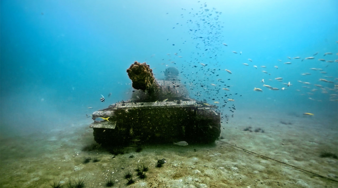 This image is not belong to us