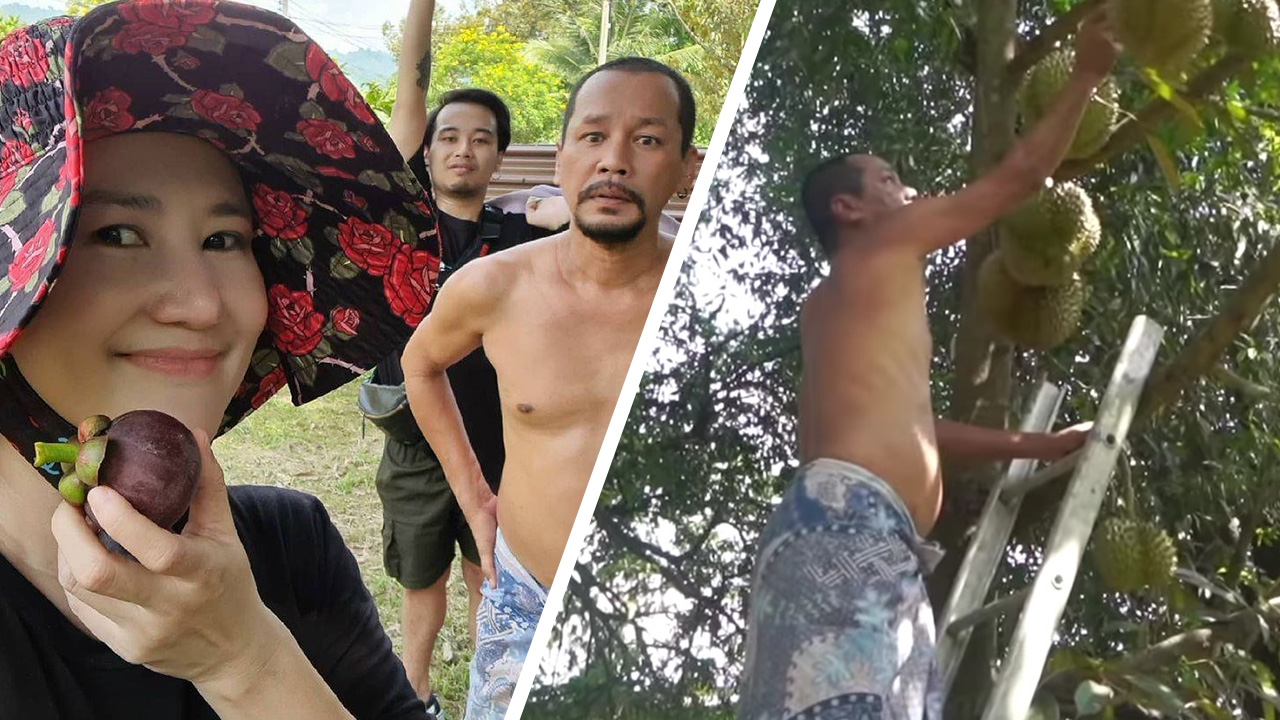 เท่ง เถิดเทิง พาชมบ้านสวน พร้อมโชว์สกิลเก็บทุเรียนลูกใหญ่ (คลิป)