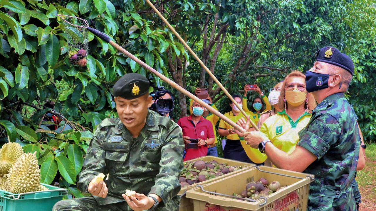 ภารกิจต่อชีวิตเกษตรกร เปิดค่ายพยุงผลผลิต จากติดลบสู่รายได้