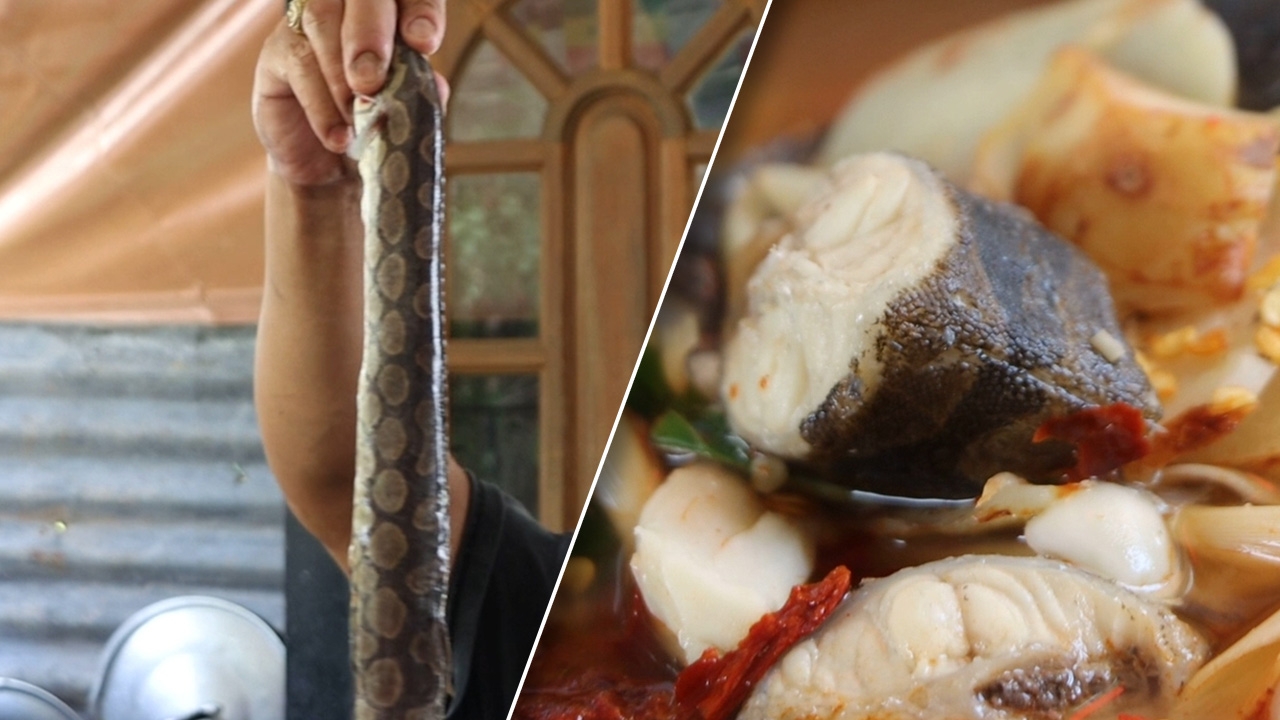 ชิมปลากระทิง ยอดปลาน้ำจืดแม่น้ำน่าน และอาหารป่านานาชนิดที่ร้านเด็ดพิษณุโลก