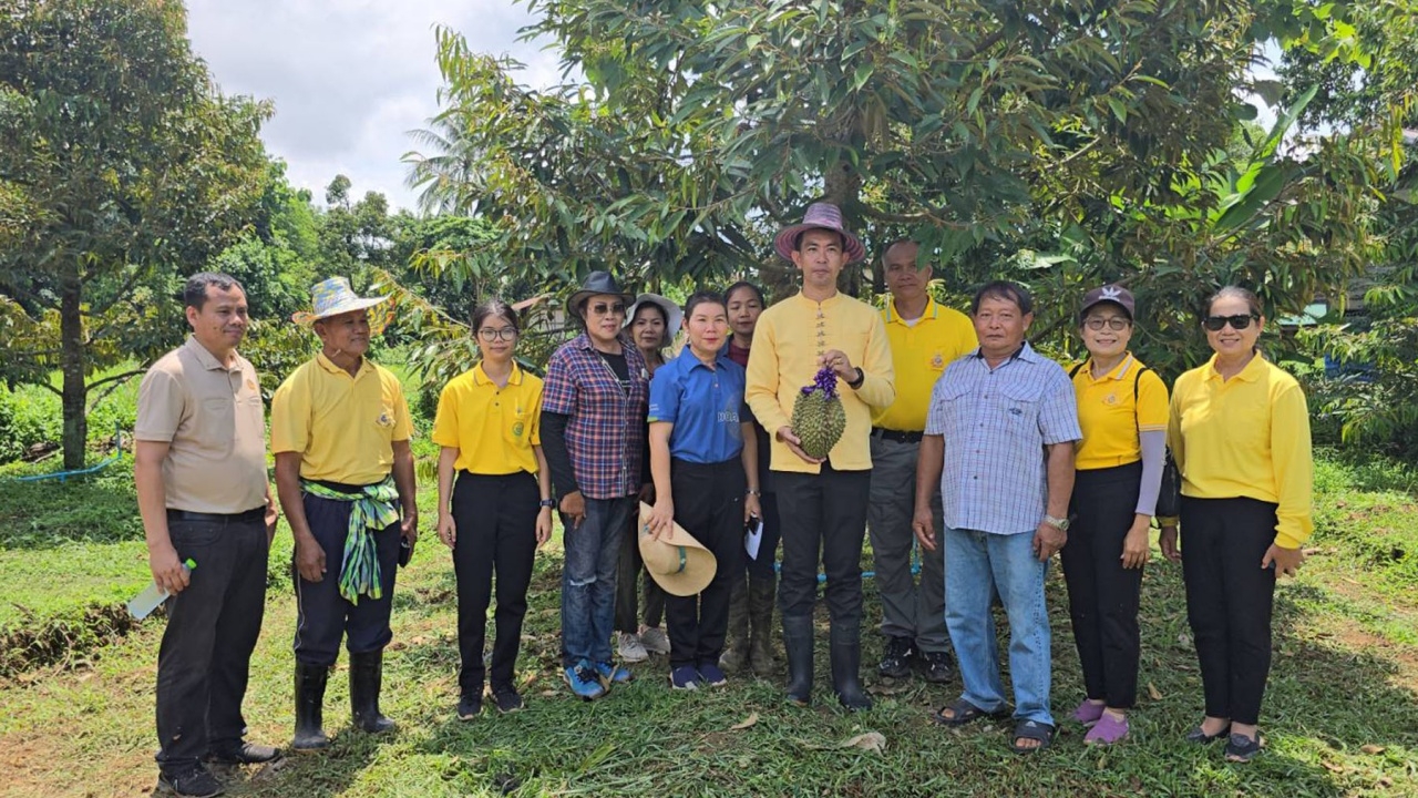 นอภ.รัตนวาปี พาเยี่ยมชมไร่ชนิกานต์ ชิมหมอนทองจากสวน คาดปีหน้าผลผลิตดีมีคุณภาพแน่