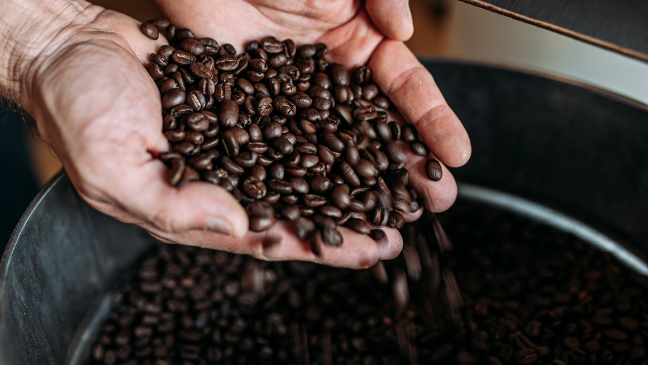 10 เมล็ดกาแฟ รสชาติดี กลิ่นหอม พร้อมปลุกเอเนอร์จี้ให้สดใส