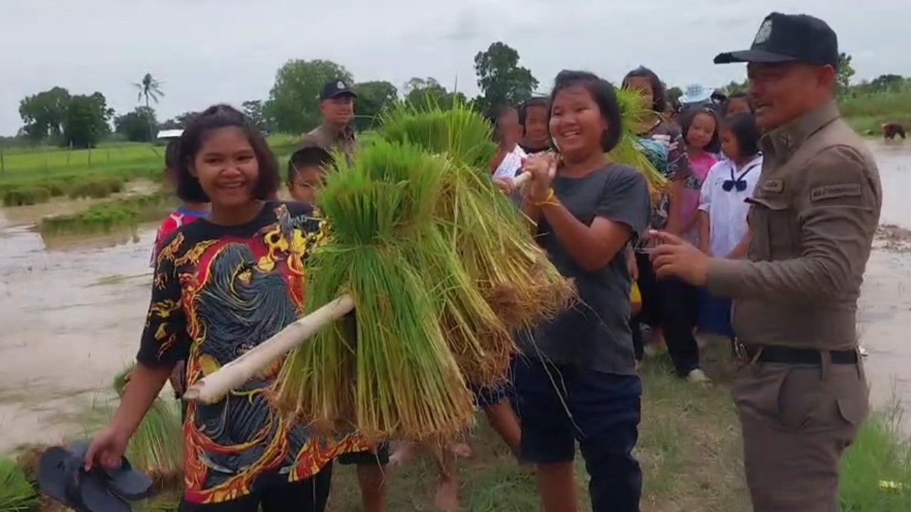 ครูแดร์ นำเด็กนักเรียน 3 ร.ร.ที่ศีขรภูมิ สอนดำนาปฏิบัติจริง เรียนรู้วิถีชาวนา