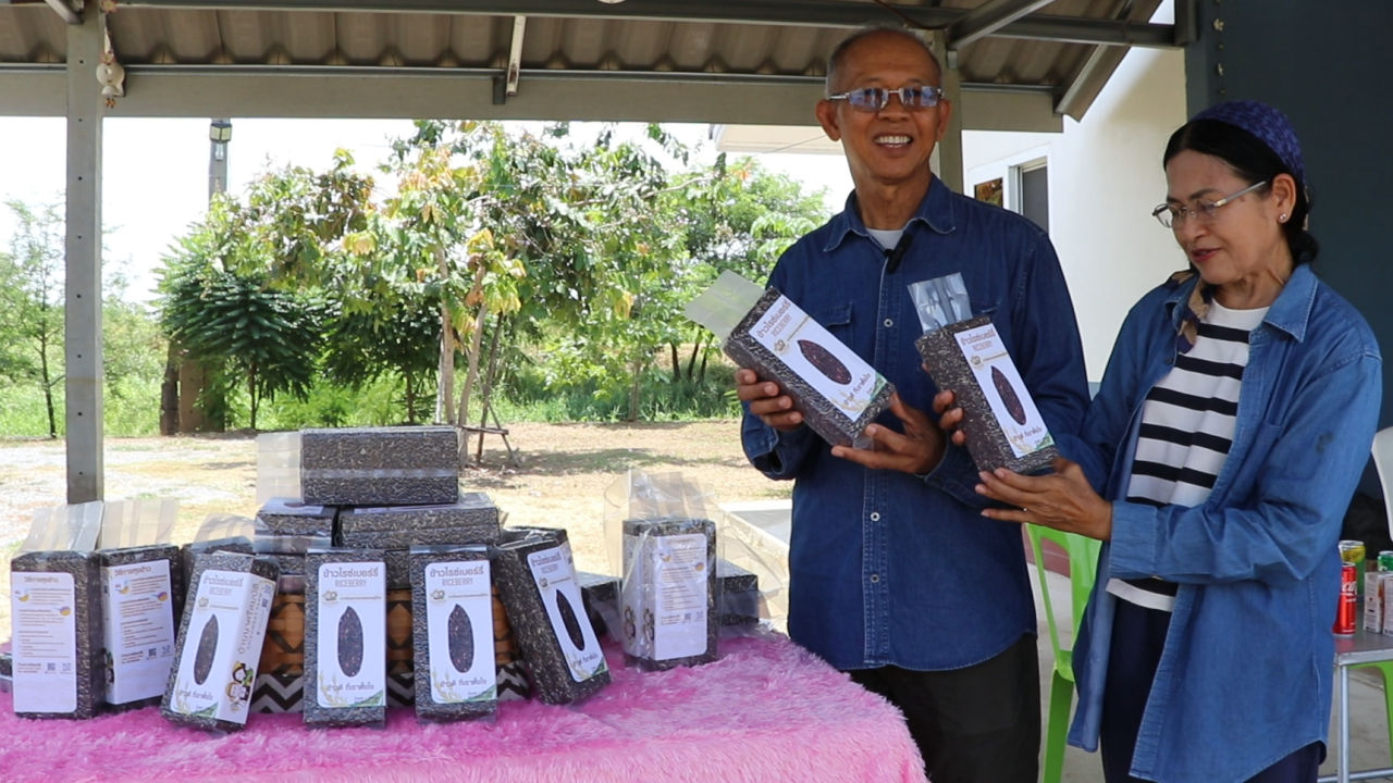 ข้าวไรซ์เบอร์รี่บ้านศรีสมบัติ สิงห์บุรี ชาวนาวัยเกษียณ สร้างธุรกิจของครอบครัว
