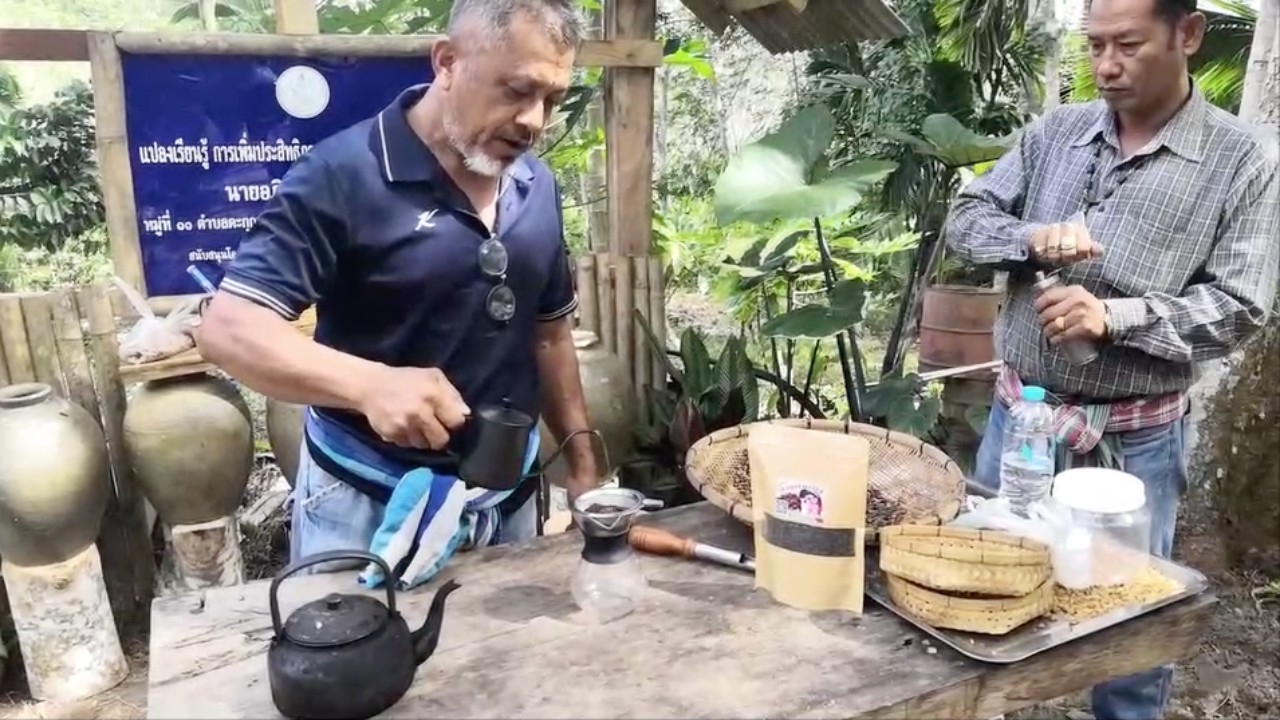 กาแฟโรบัสต้าสุราษฎร์ฯ จากสวนบนเขาตะกุกเหนือ คั่วบดด้วยมือทุกขั้นตอน 