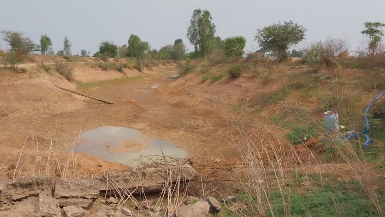 สุรินทร์เจอแล้งแหล่งน้ำแห้งขอด เกษตรกรหวั่นวัวควายขาดน้ำ ย้ำขอให้งดทำนาปรัง