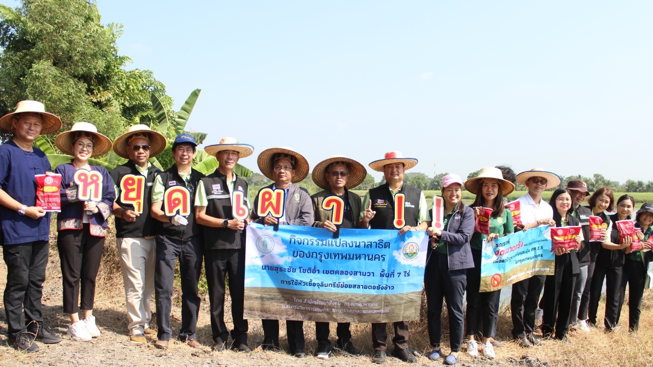 กรมวิชาการเกษตร-กทม. แก้ปัญหาฝุ่น PM 2.5 ภาคเกษตร ด้วยสารชีวภาพสลายตอซังในดิน