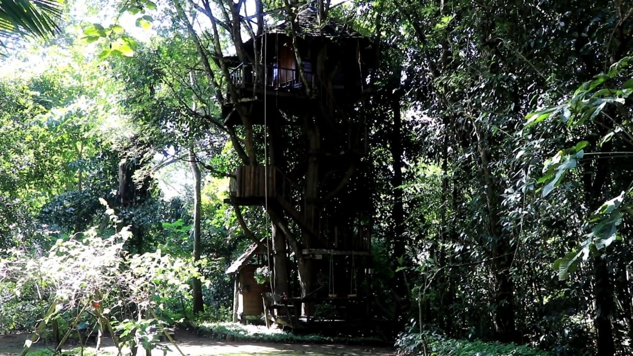 พาชีวิตไปแนบชิดธรรมชาติ บนบ้านต้นไม้ ในหมู่บ้านเล็กกลางป่าใหญ่ดอยสะเก็ด 