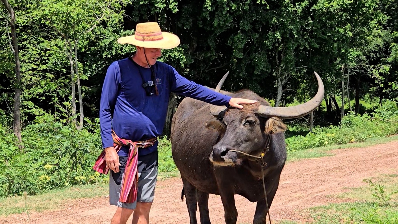 ฝรั่งที่ขอนแก่นทำฟาร์มควายเผือกควายดำ มุ่งอนุรักษ์ควายไทย ใครถามซื้อก็ไม่ขาย