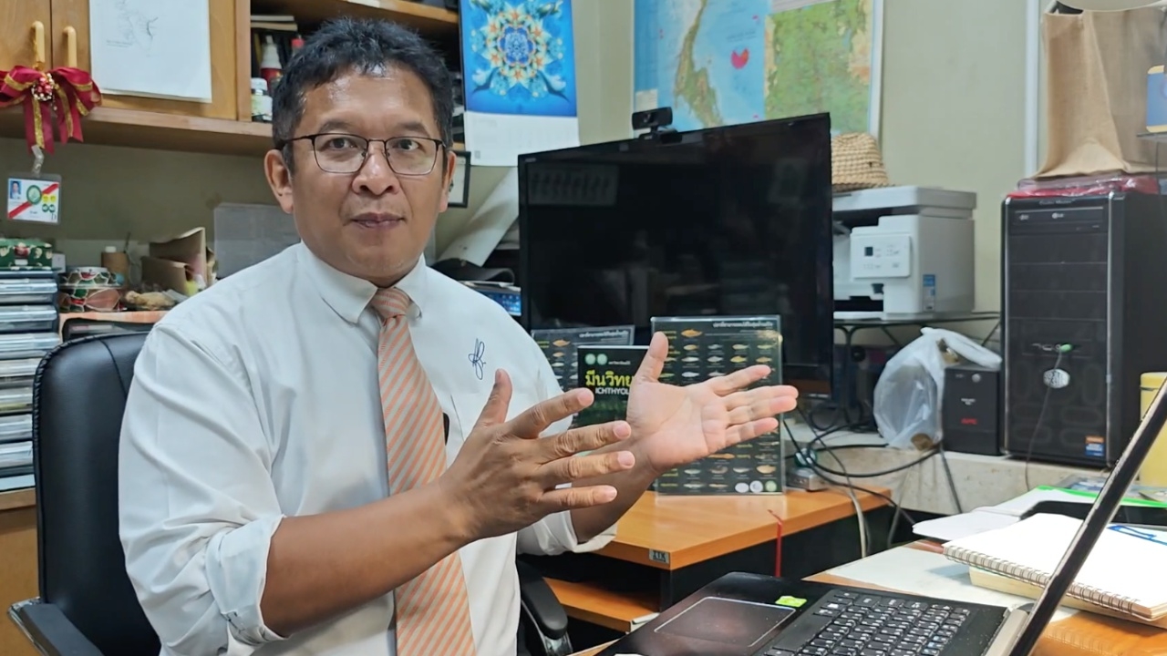 อ.แม่โจ้แนะกำจัด "ฝูงหมอคางดำ" จับให้มากที่สุดก่อนปลานักล่าหลากชนิดได้ทำงาน