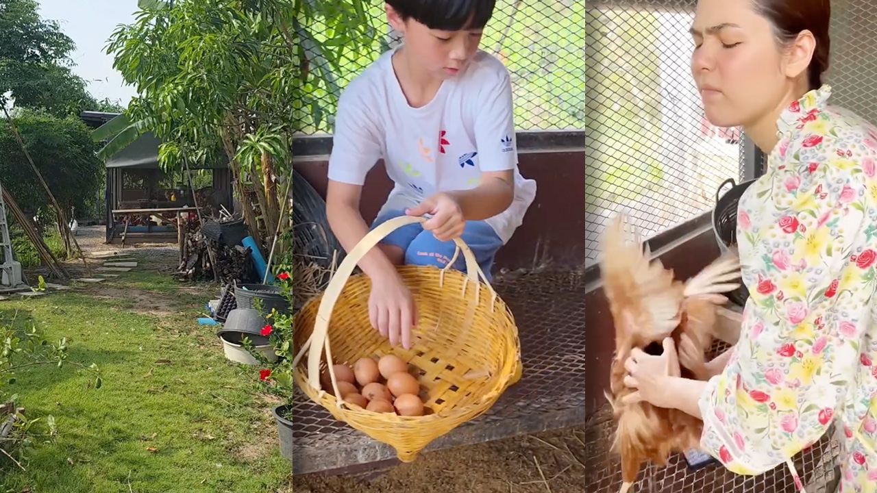 เปิดสวนคุณยายเจ๊เกล ชมพู่ อารยา พาลูกๆ ใช้ชีวิตบ้านๆ เก็บไข่ เก็บผักมาทำกิน 