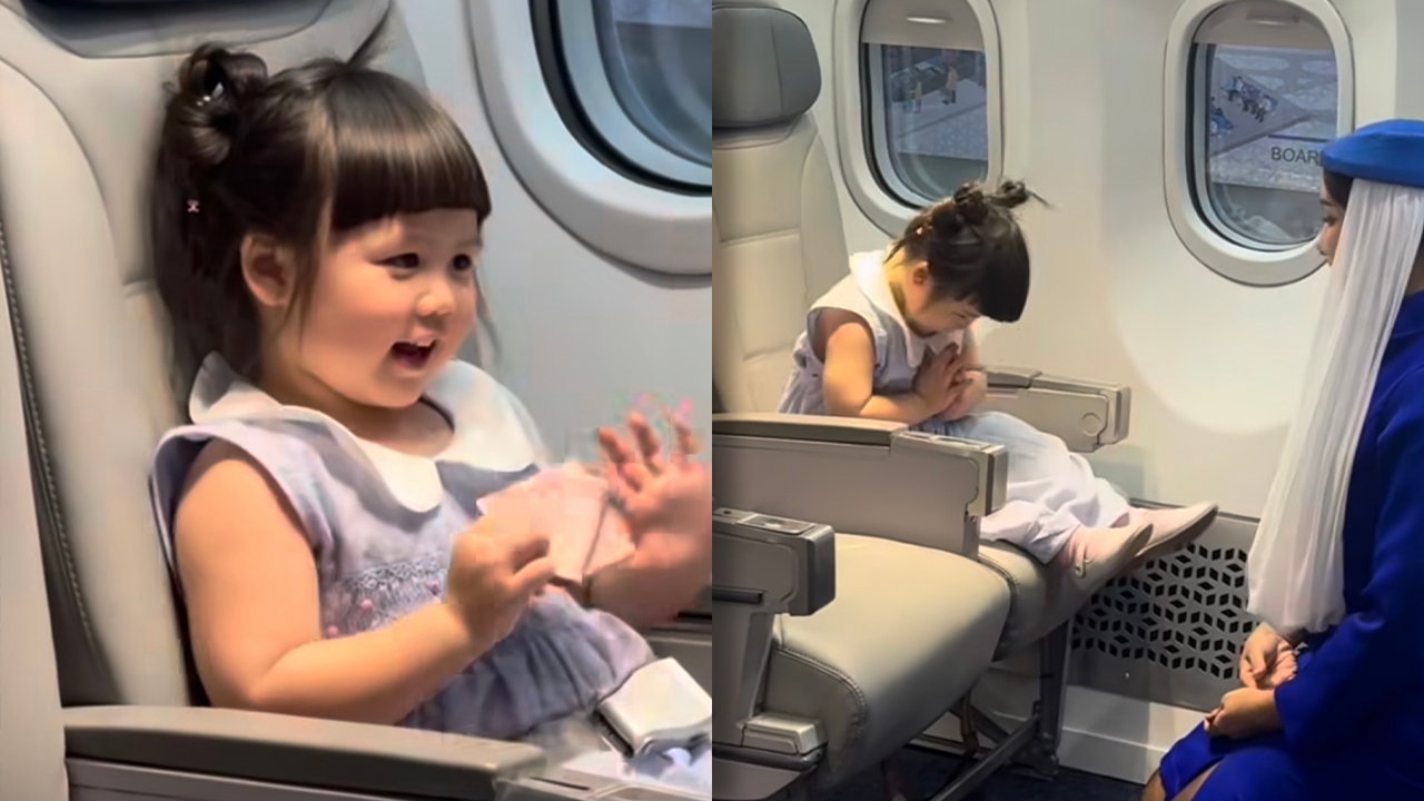 น่าเอ็นดู แอบิเกล วงศ์เศวต ขึ้นเครื่องกะเทยธรรมแอร์ไลน์ ยกมือไหว้ไม่หยุด (คลิป)