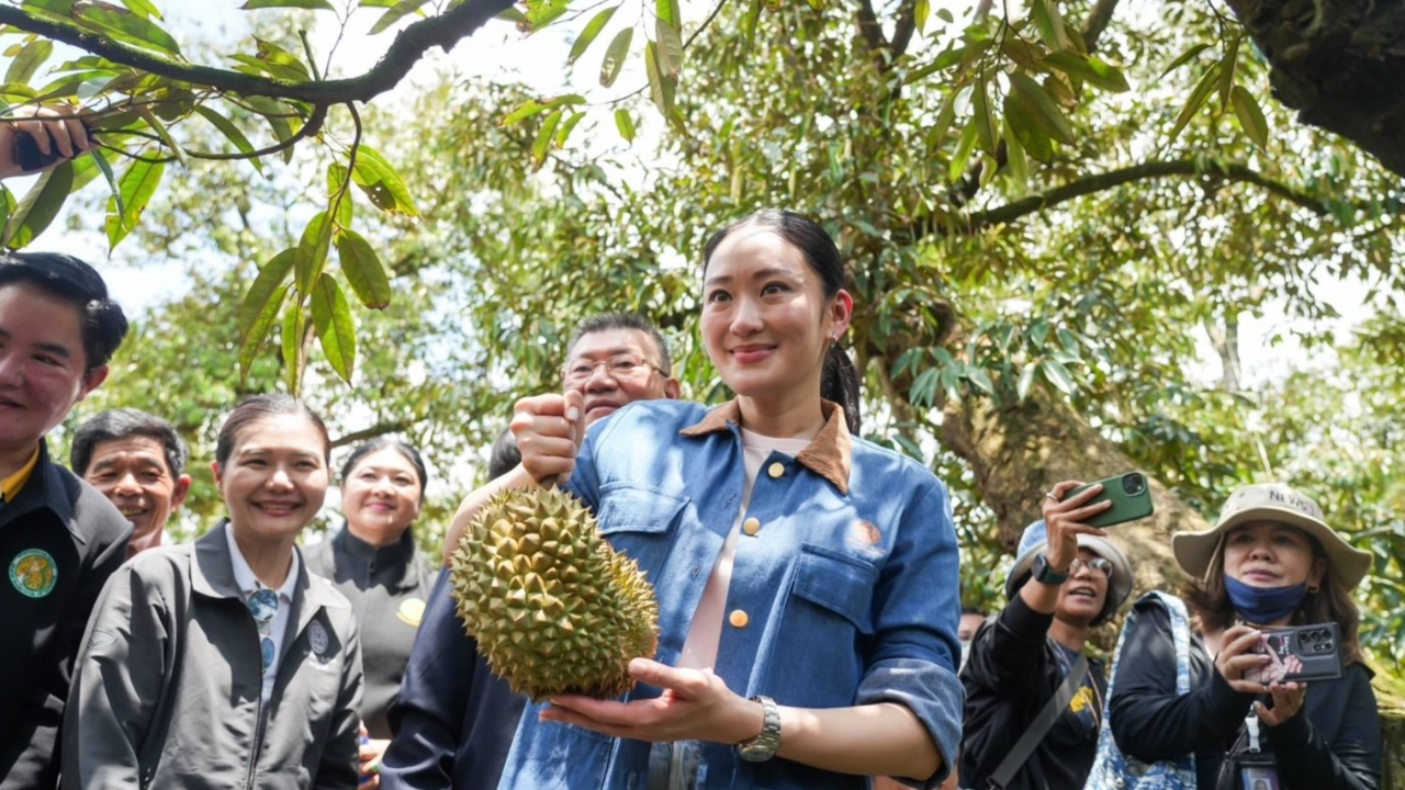 “อิ๊งค์” บุกสวนทุเรียนเมืองจันท์ฯ เกษตรกรเสนอดึง “ลิซ่า” ช่วยโปรโมตผลไม้ไทย