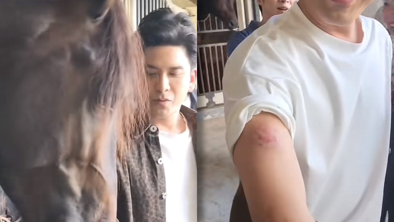 เปิดวินาที ป๋อ ณัฐวุฒิ ถูกม้ากัดกลางรายการจนสะดุ้ง ได้รอยฟกช้ำกลับบ้าน