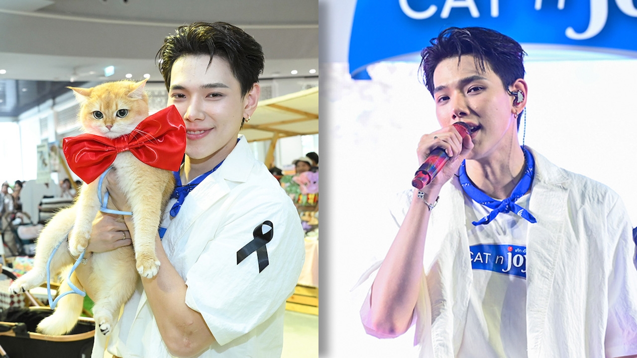 ต้าห์อู๋ หนุ่มสุดฮอต ขึ้นแท่นจ่าฝูงของแมว เสิร์ฟโมเมนต์สุดน่ารักแฟนคลับใจละลาย