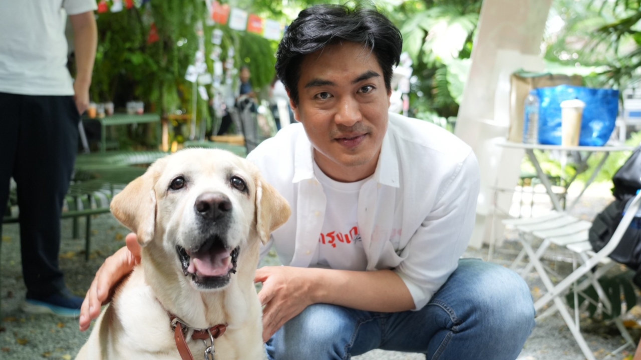 “ดร.โจ” ร่วมวงเสวนาปัญหาสัตว์เลี้ยง-สัตว์จรใน กทม. ชูฝังไมโครชิปฟรี-มีส่วนลดทำประกัน