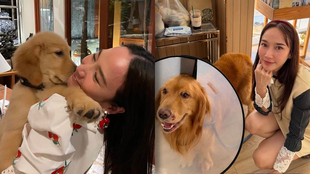 ไฮโซพก ลงภาพ อั้ม พัชราภา กับ น้องคินตะ สุนัขสุดรัก เผยข่าวเศร้าน้องกลับดาวหมาแล้ว