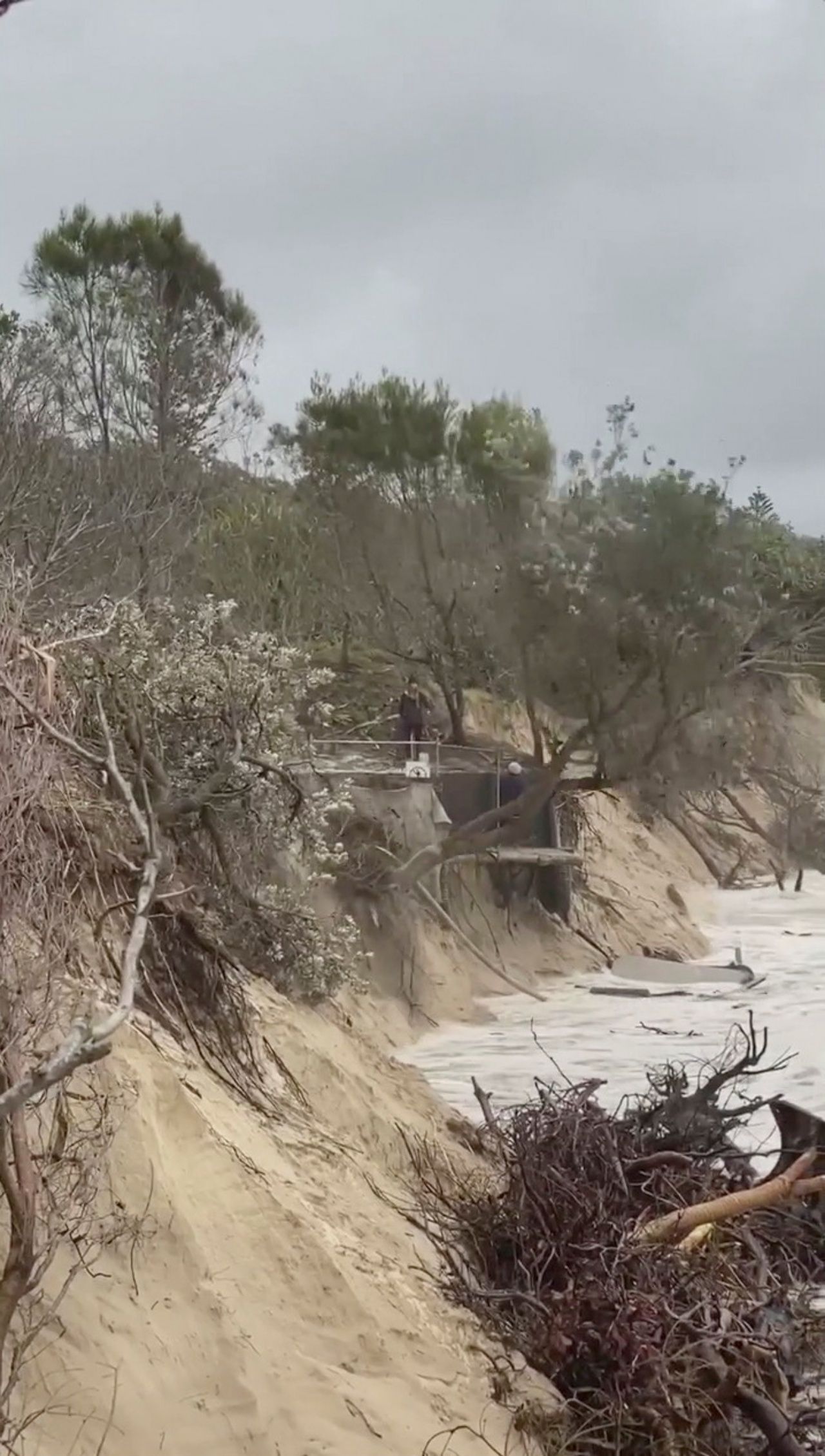 สิ่งปลูกสร้างและต้นไม้บริเวณชายฝั่งเมืองไบรอัน เบย์ รัฐนิวเซาท์เวลส์โค่นล้ม จากมีคลื่นแรงซัดฝั่ง