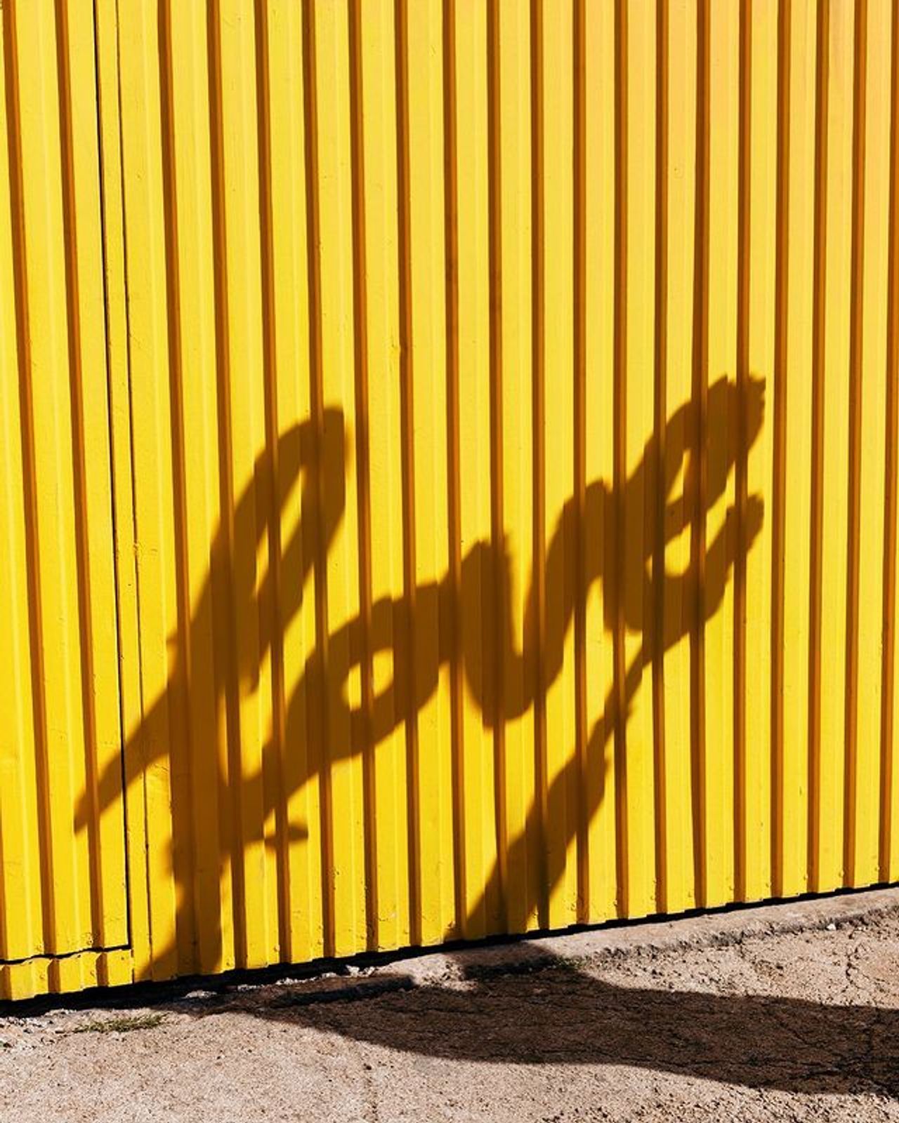 ภาพจาก https://www.instagram.com/p/CIoM82Ygtbs/