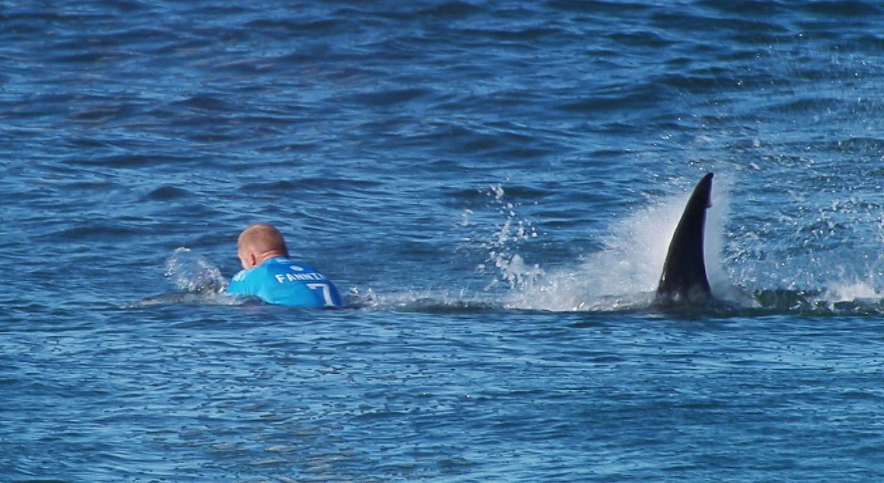 เหตุการณ์ขณะที่มิกค์ แฟนนิ่ง นักเล่นกระดานโต้คลื่นชาวออสเตรเลียกำลังถูกฉลามจู่โจมระหว่างแข่งขันเมื่อปี 2015 เคราะห์ดีที่เขารอดมาได้อย่างปลอดภัย