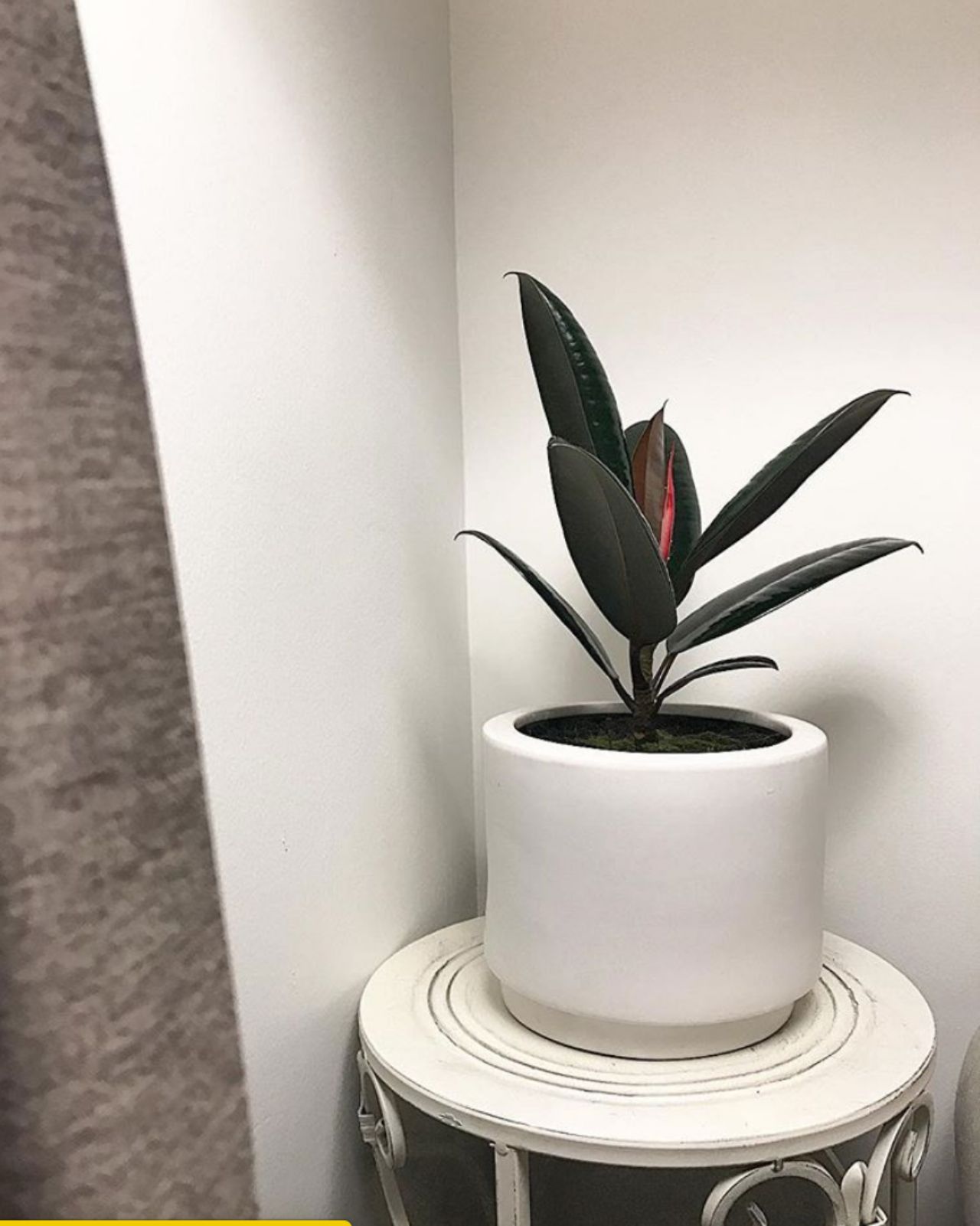 PHOTO : IG @ladybug_room